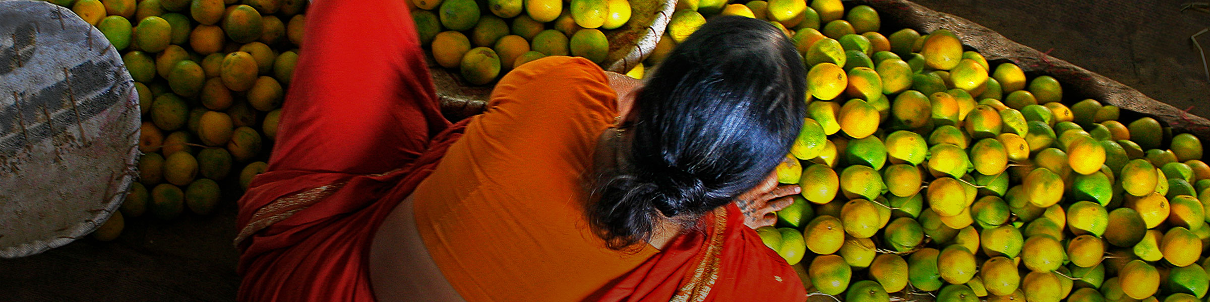 Back of Indian woman with fruits