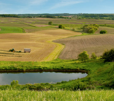 Farm fields near pond