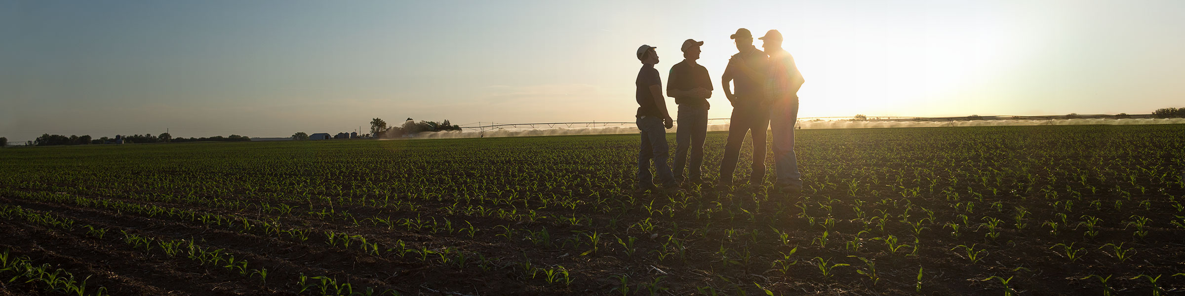 Four men standing in a field during sunset